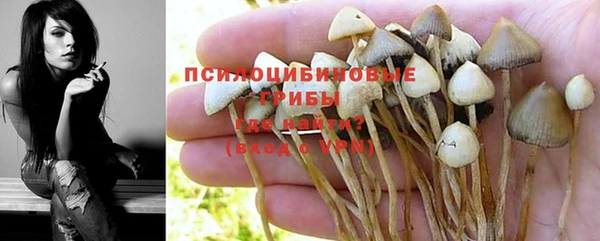 ГАЛЛЮЦИНОГЕННЫЕ ГРИБЫ Алзамай
