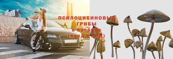 амф Алексеевка