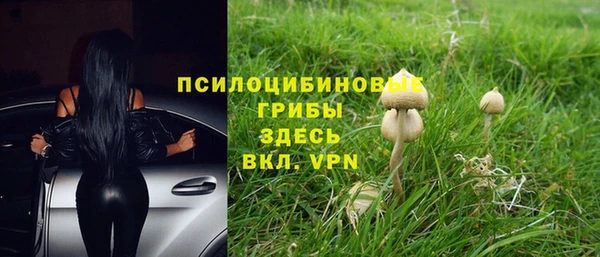 соль курить ск Алексин