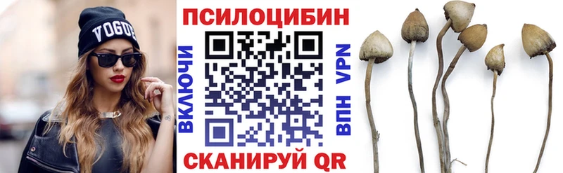 Галлюциногенные грибы прущие грибы  Тогучин 
